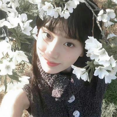 花儿与远方